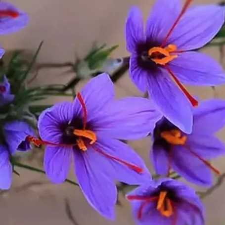 1762065361169.webp