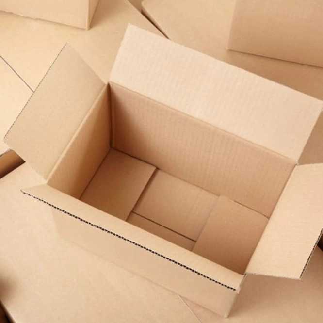 1763370070888.webp