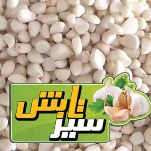 1765106914444.webp