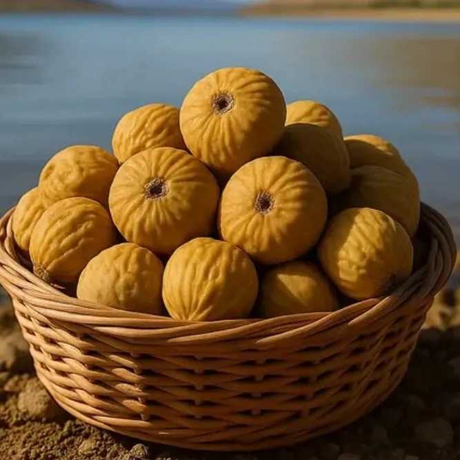 1765170823330.webp