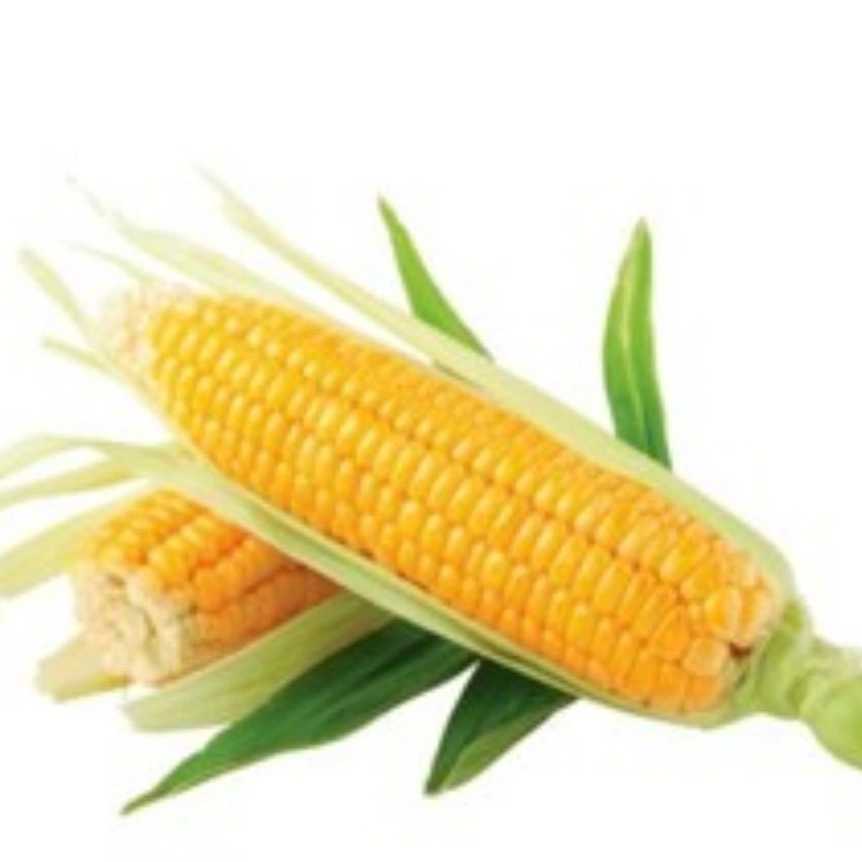 1765703709978.webp