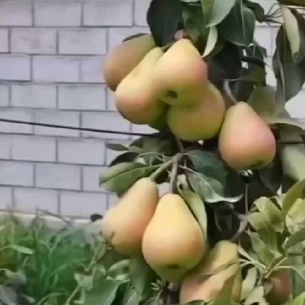 1766209468359.webp