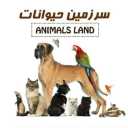 فروشگاه سرزمین حیوانات، فروش لوازم و تجهیزات حیوانات خانگی و پرنده در قزوین