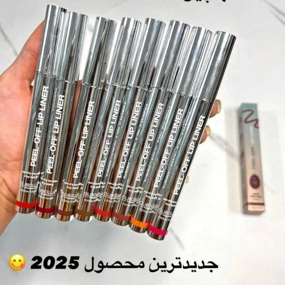 1766490323058.webp