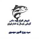 استخر ماهی موسوی، تولید ‌و فروش انواع ماهی های گرمابی در دزفول