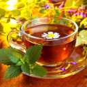 عطاری طیبات حسینی، فروش انواع دمنوش و عرقیجات در گرمسار