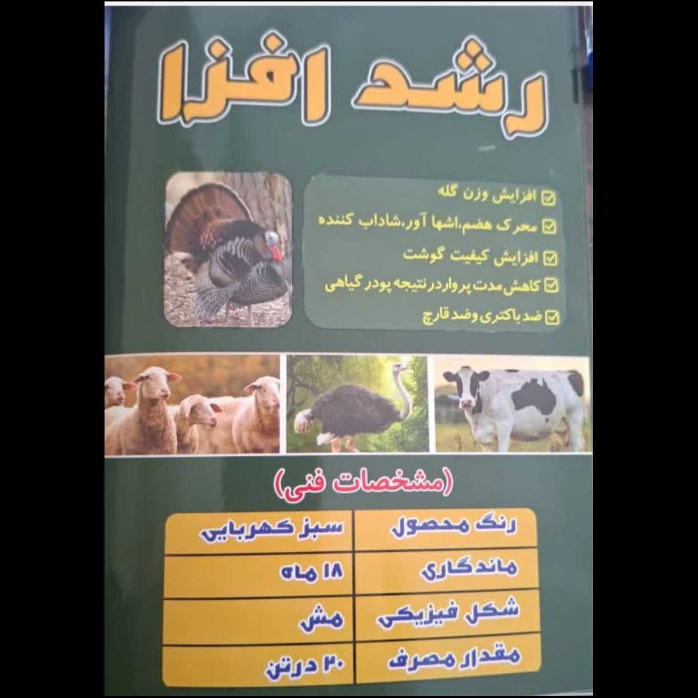 1770718281166.webp