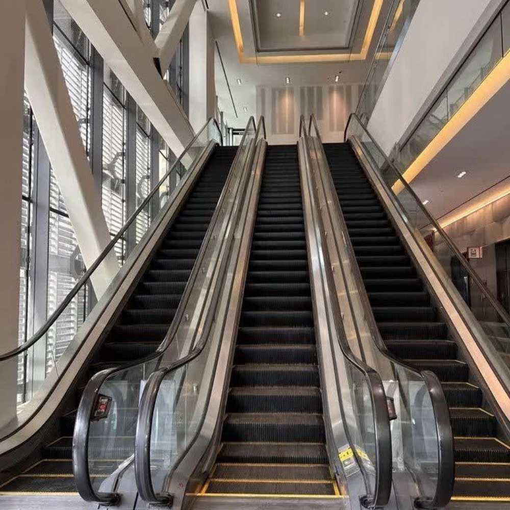 1771329306976.webp