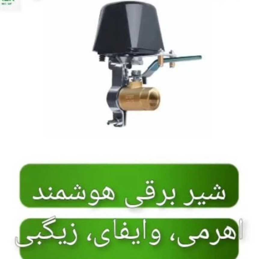 1771658221145.webp