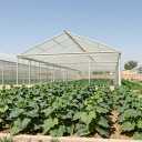 گلخانه سازی رضایی، نصب انواع سازه گلخانه ای خیار و گل آپارتمانی در مازندران