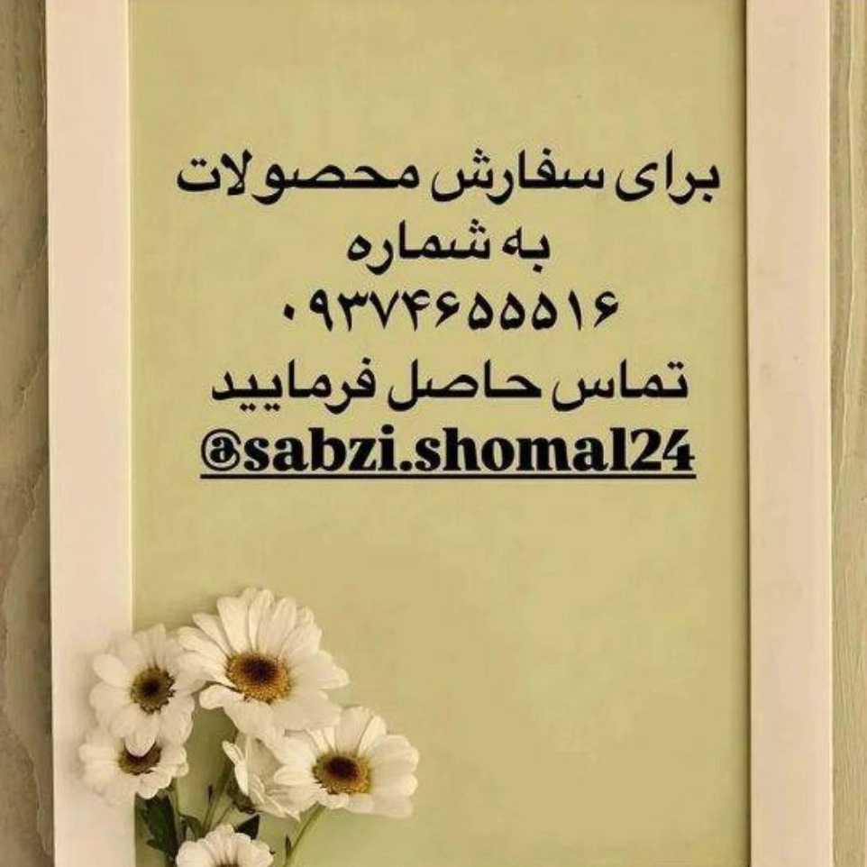 1773645032217.webp