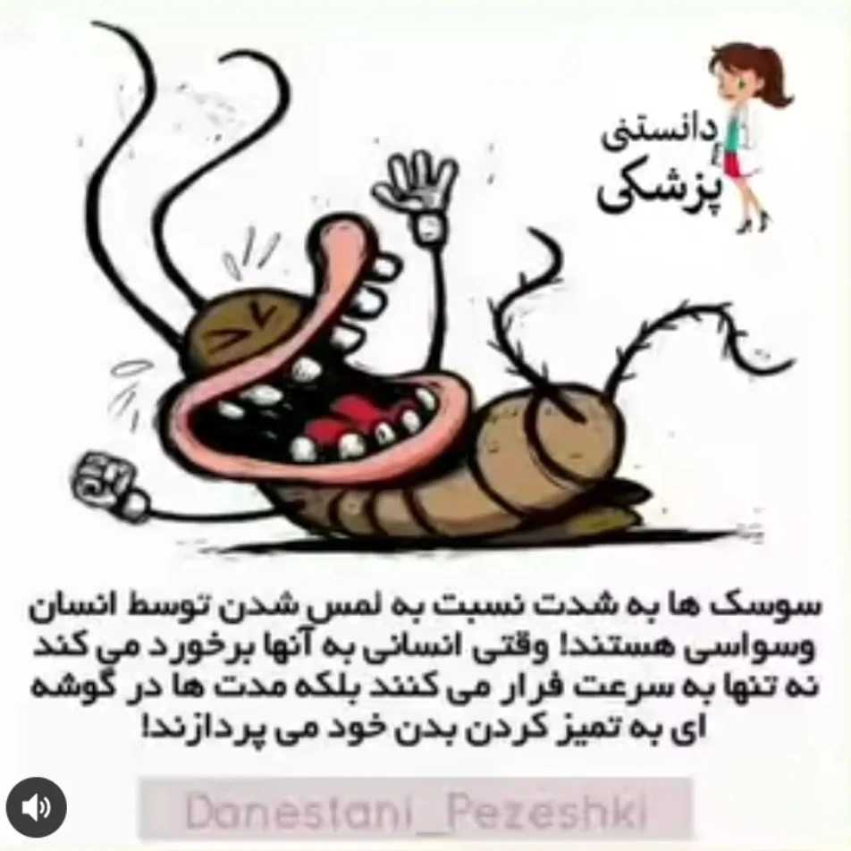 1773652295785.webp