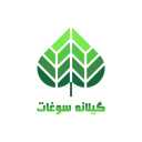 فروشگاه گیلانه سوغات، فروش آجیل و خشکبار در لاهیجان