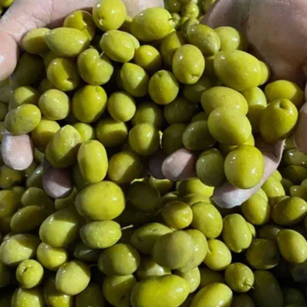 1777720445619.webp