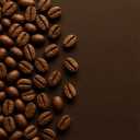 فروشگاه کافئین، فروش و پخش قهوه اصل در بندر عباس