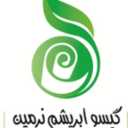 شرکت گیسو ابریشم نرمین، تولید محصولات سلولزی در پردیس تهران