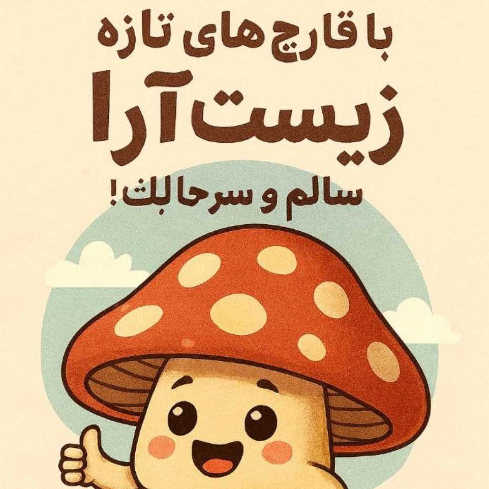 1780119856589.webp