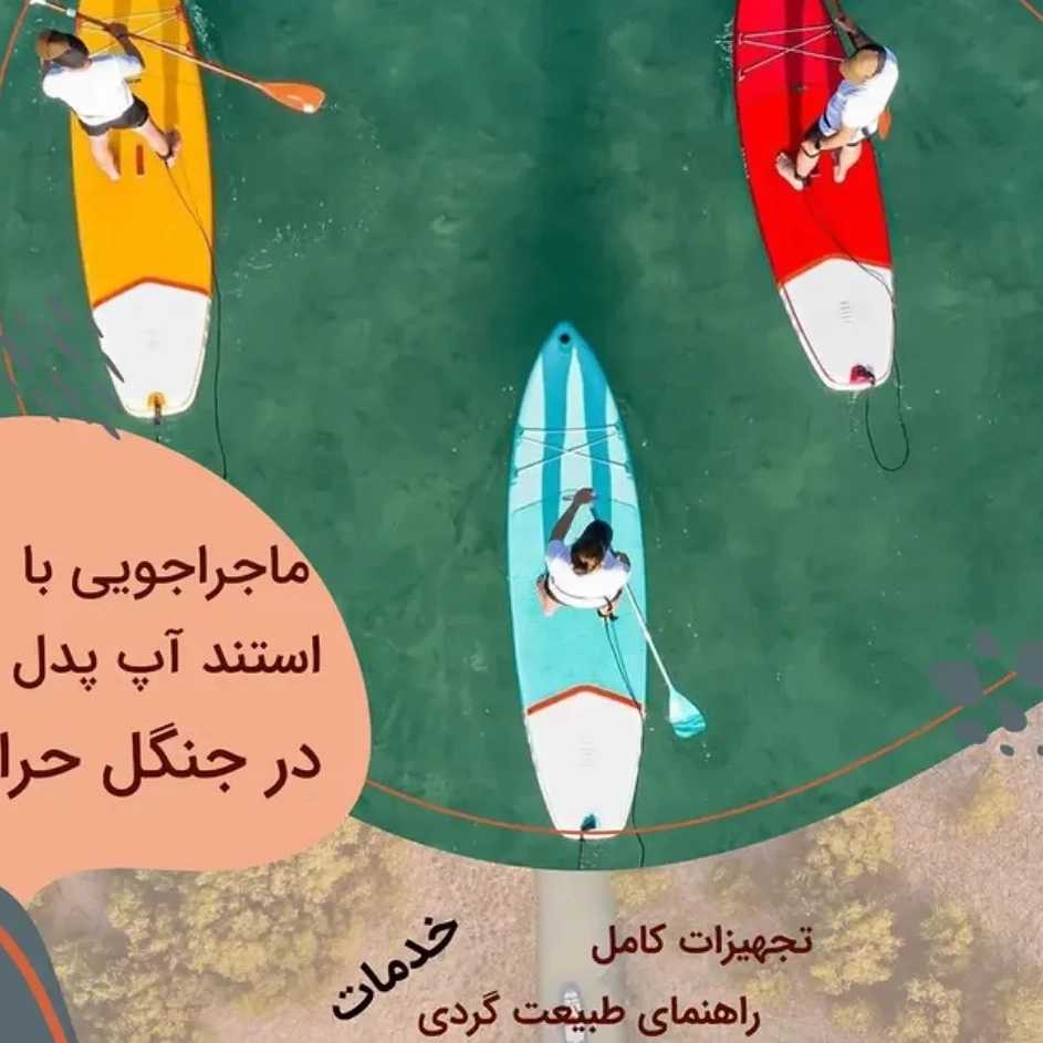 1780907545677.webp