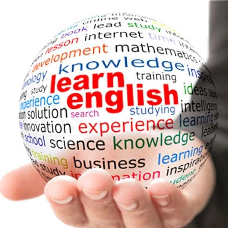 1781337912477.webp