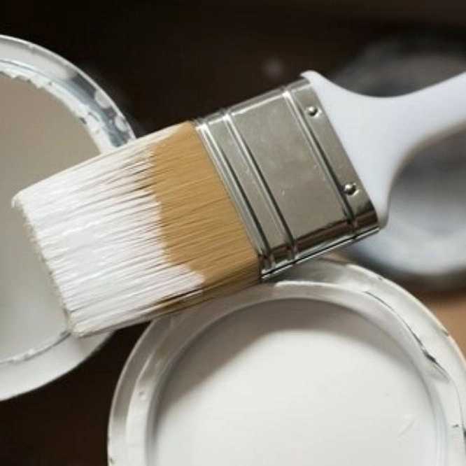 1781516176421.webp