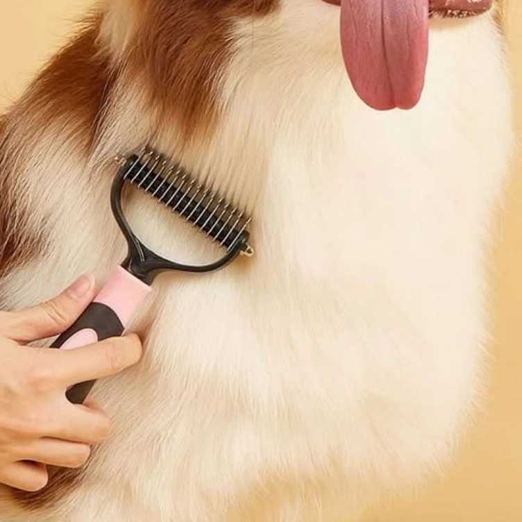 1781682311858.webp