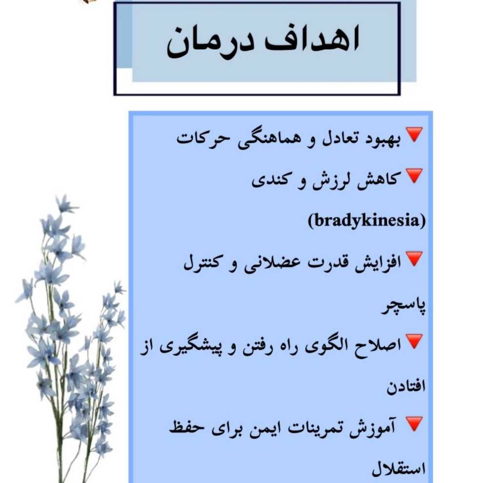 1781762822570.webp