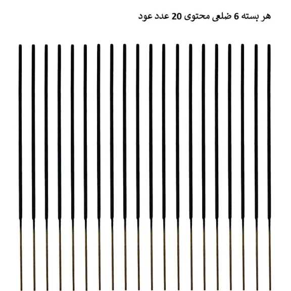 1688207476482.webp