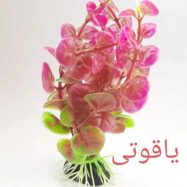 1690712537205.webp