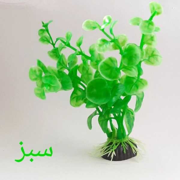 1690712539025.webp