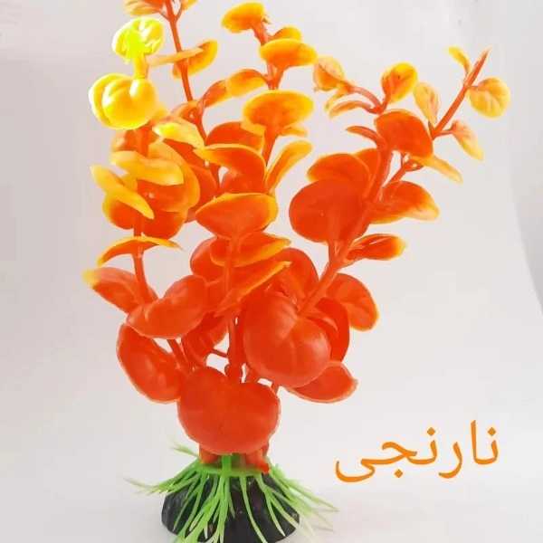 1690712541746.webp