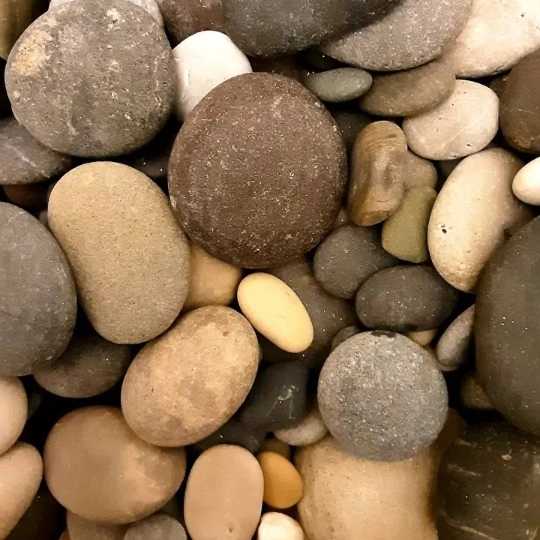1690784299291.webp