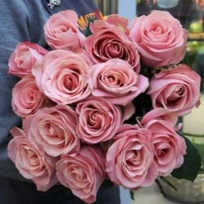 1699682884721.webp