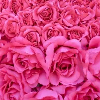1699682886055.webp