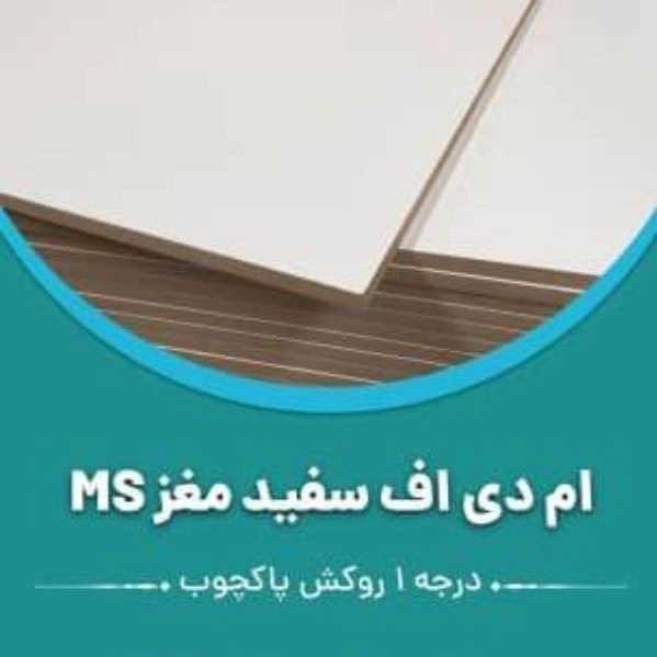 ام دی اف سفید مغز ms