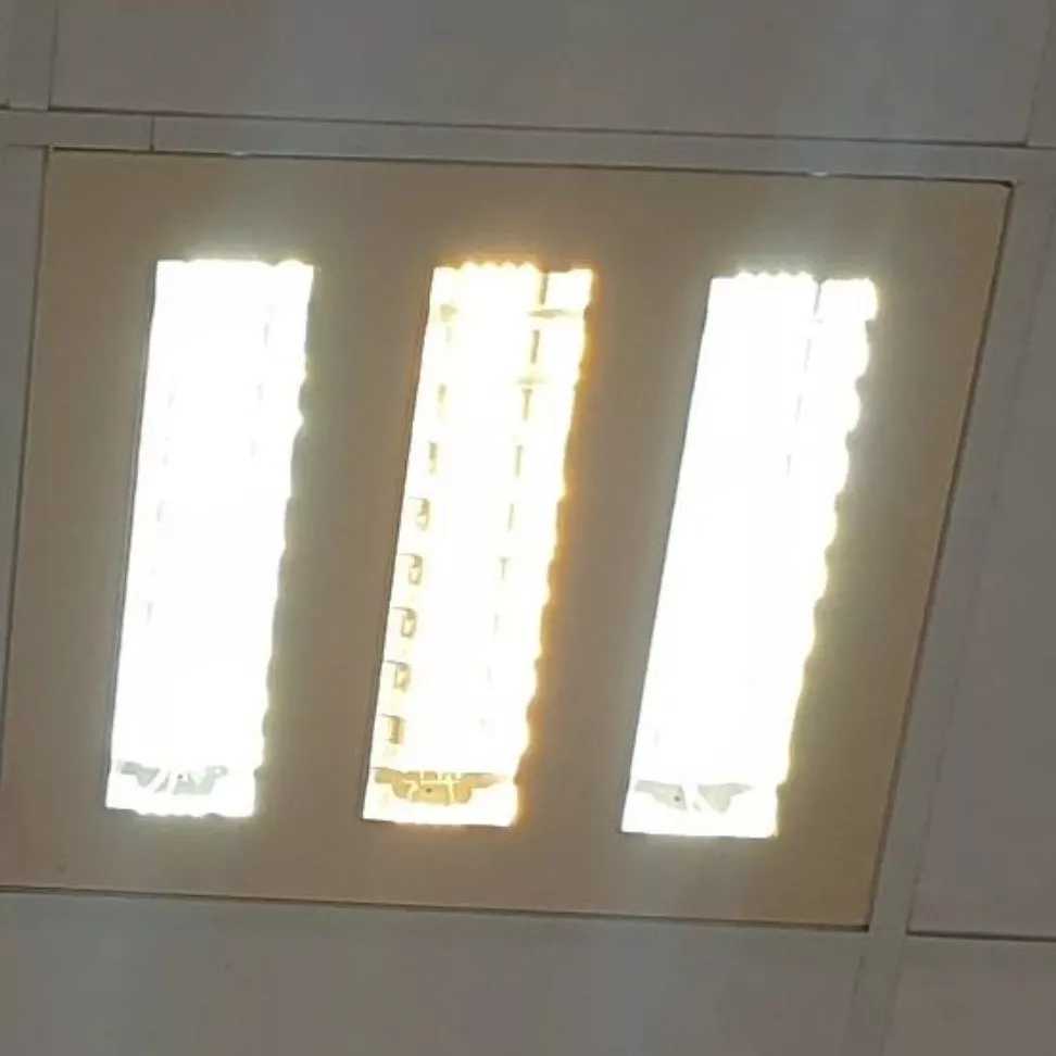 1687934662831.webp