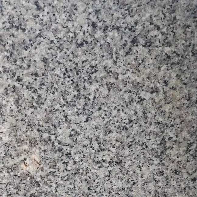 1688209858363.webp