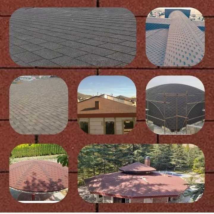 1688283959380.webp