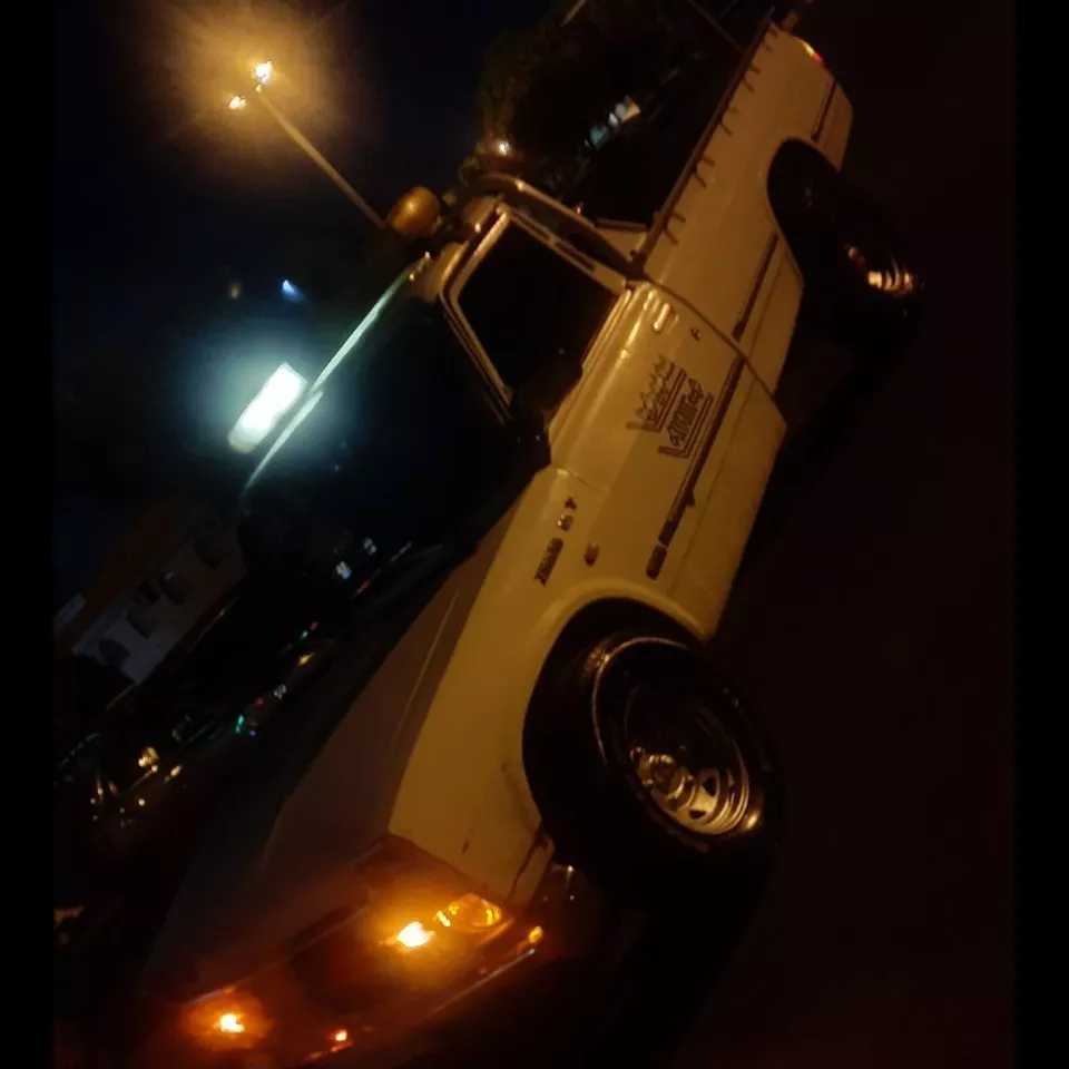 1688558969554.webp