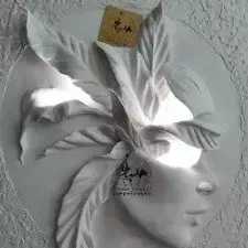 1689842331669.webp