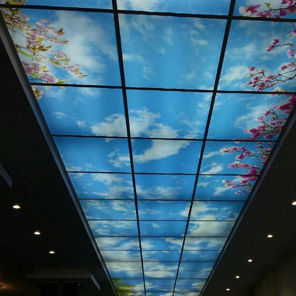 1690625698432.webp