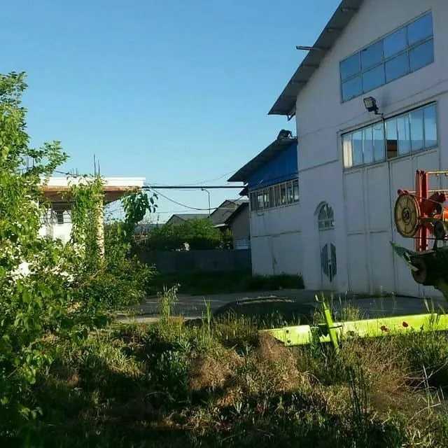 1691308177618.webp