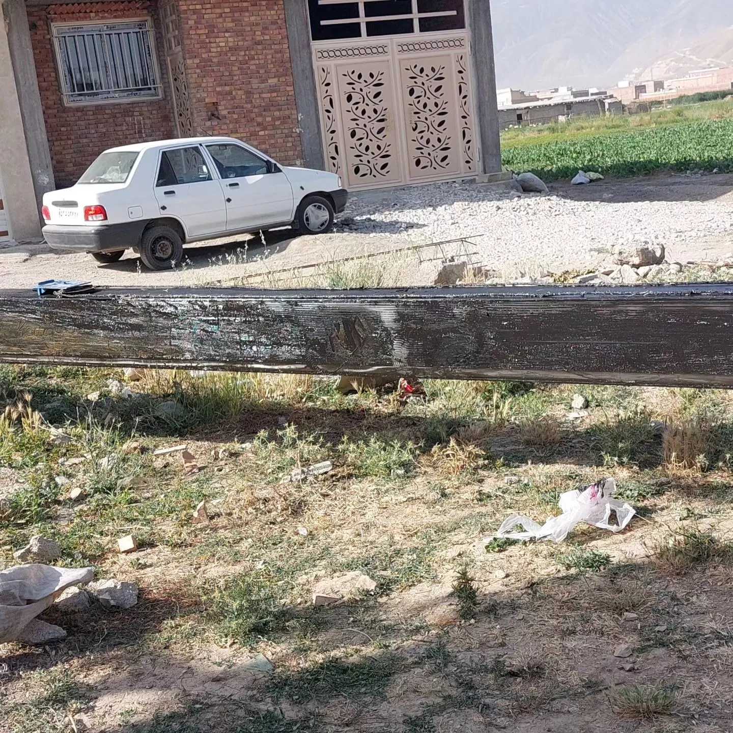 1691494763312.webp