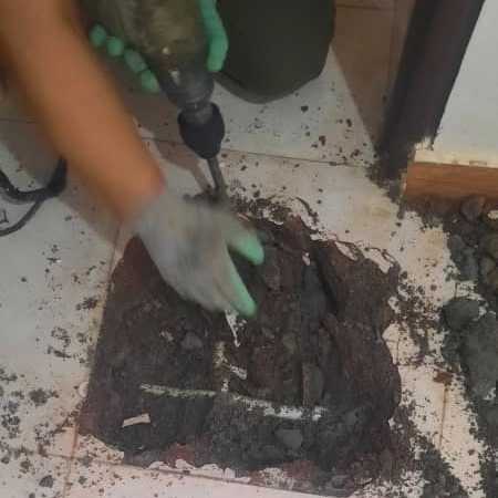 1692094655270.webp