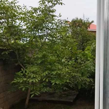 1692430695425.webp