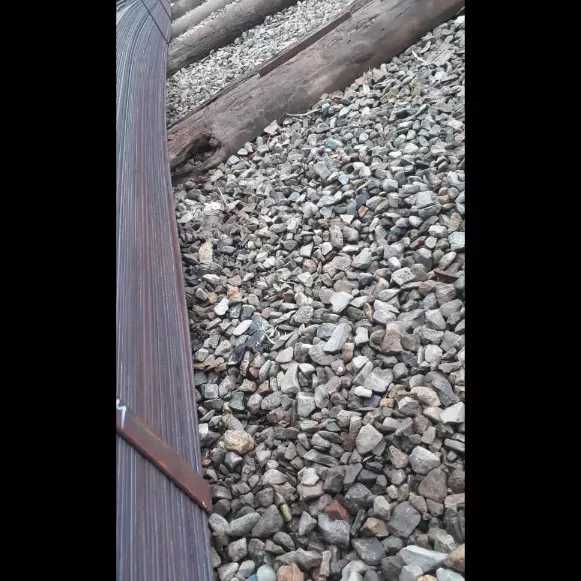1692531935503.webp
