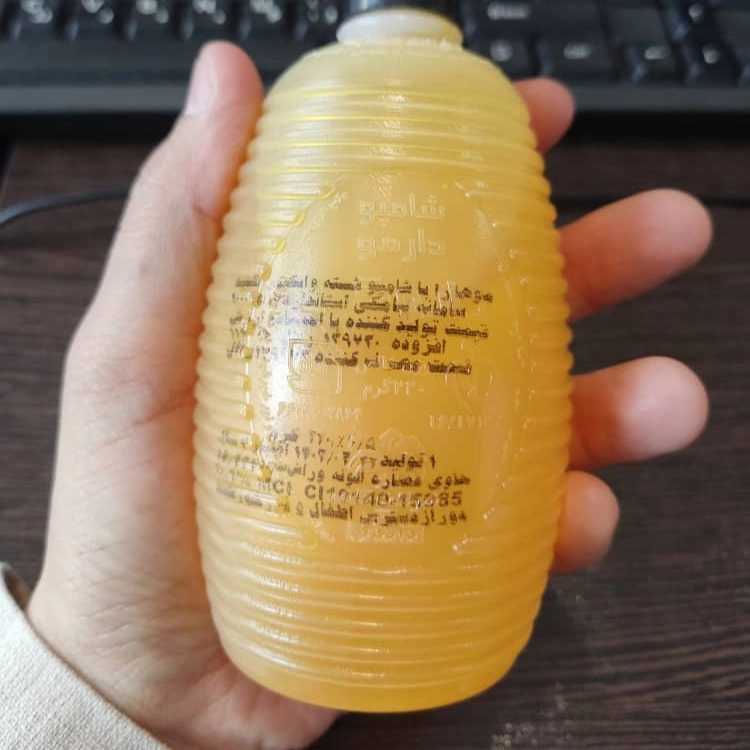 1692694524169.webp
