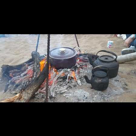 1693028916161.webp
