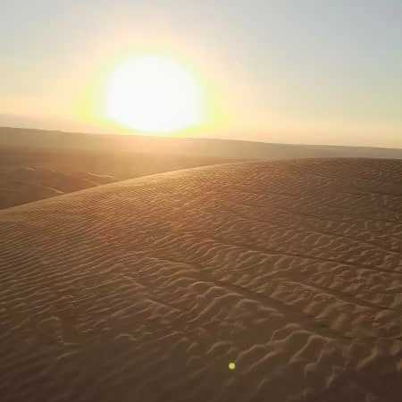 1693029272126.webp