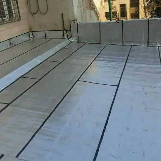 1693636902571.webp