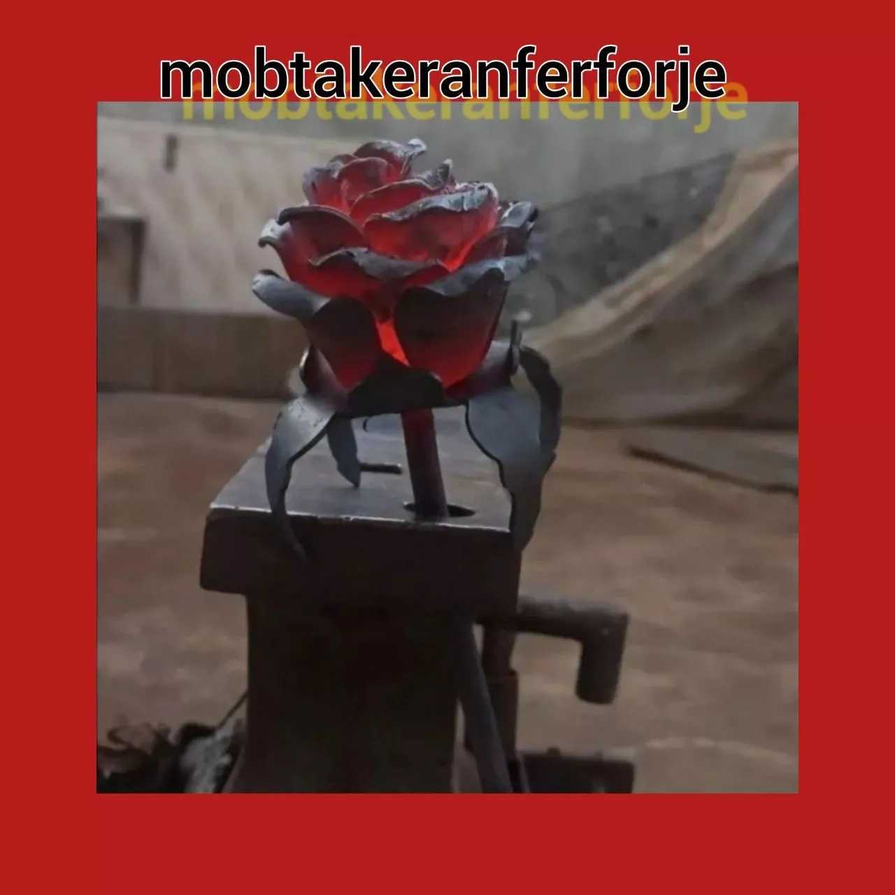 1693642036086.webp